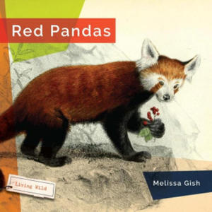 Red Pandas - 2877313651