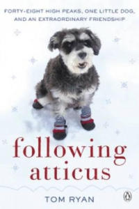 Following Atticus - 2878788309