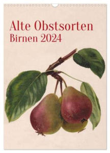 Alte Obstsorten - Birnen 2024 (Wandkalender 2024 DIN A3 hoch), CALVENDO Monatskalender - 2878323369