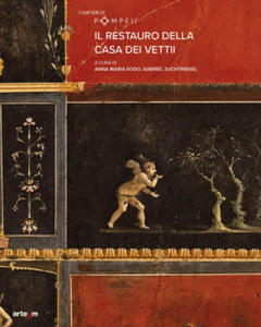 restauro della casa dei Vettii - 2878323312