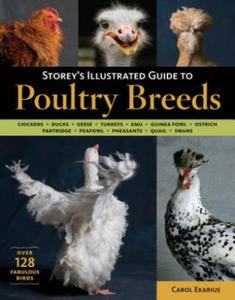 Storeys Illustrated Guide to Poultry Breeds - 2869013113