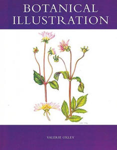 Botanical Illustration - 2878878144