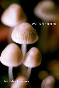 Mushroom - 2867145004