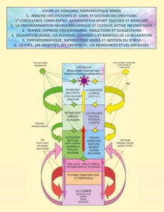 Cours de coaching thrapeutique SDHEA - 2877871629