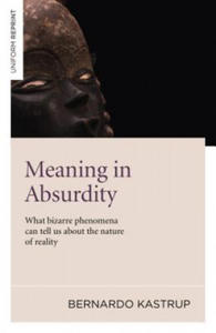 Meaning in Absurdity - What bizarre phenomena can tell us about the nature of reality - 2878777333