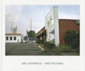 Joel Sternfeld - 2861857590