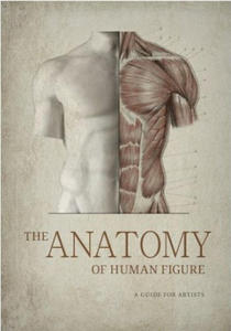 The Anatomy of Human Figure. A Guide for Artists - 2877181486