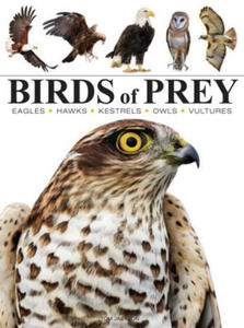 BIRDS OF PREY - 2878442786