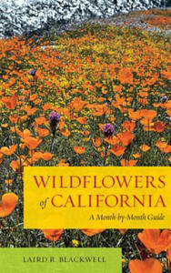 Wildflowers of California - 2867753039