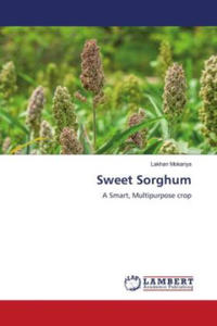 Sweet Sorghum - 2877964175