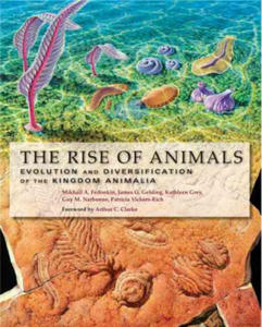 Rise of Animals - 2862002078