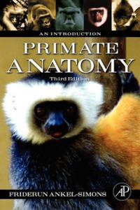 Primate Anatomy - 2873895288