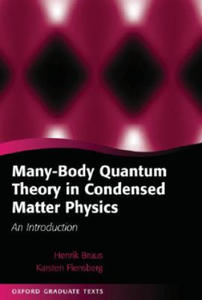 Many-Body Quantum Theory in Condensed Matter Physics - 2867114559