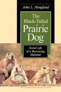 Black-Tailed Prairie Dog - 2855533892