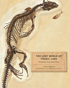 Lost World of Fossil Lake - 2876332056