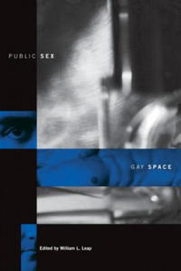 Public Sex/Gay Space - 2875916210