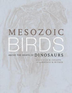 Mesozoic Birds - 2878174100