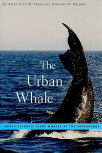 Urban Whale - 2874072665