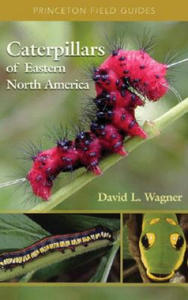 Caterpillars of Eastern North America - 2873980329