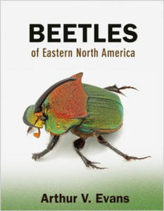 Beetles of Eastern North America - 2870119275