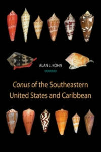 Conus of the Southeastern United States and Caribbean - 2874002548