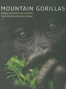 Mountain Gorillas - 2871789372