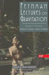 Feynman Lectures On Gravitation - 2862681481
