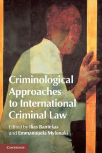 Criminological Approaches to International Criminal Law - 2877172247