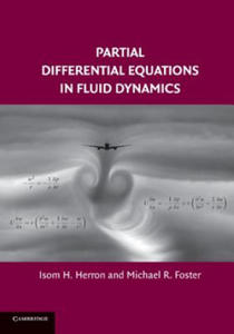 Partial Differential Equations in Fluid Dynamics - 2876944979