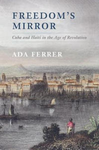 Freedom's Mirror - 2869446161