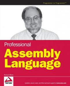 Professional Assembly Language - 2867163525