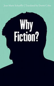 Why Fiction? - 2876336407