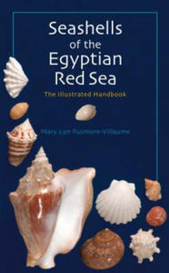 Seashells of the Egyptian Red Sea - 2877632367
