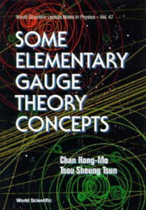 Some Elementary Gauge Theory Concepts - 2877177001