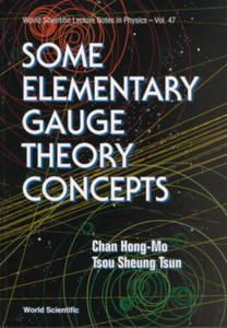 Some Elementary Gauge Theory Concepts - 2877177000