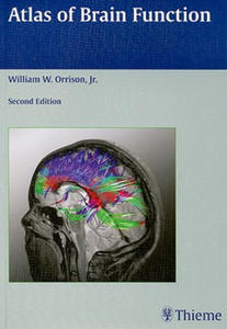 Atlas of Brain Function - 2874168097
