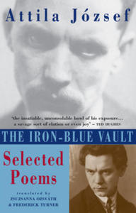 Iron-Blue Vault - 2867116947