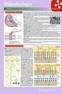 Mikrobiologie im berblick, 8 Lerntafeln - 2878790470