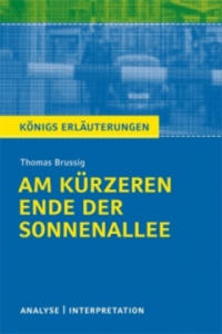 Thomas Brussig 'Am krzeren Ende der Sonnenallee' - 2878876237