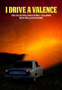 Bill Callahan: I Drive A Valence - 2877772704