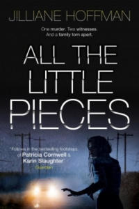 All The Little Pieces - 2877759260