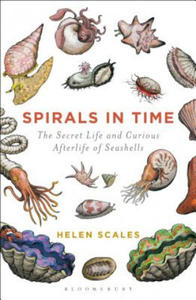 Spirals in Time - 2845290067