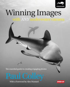 Winning Images with Any Underwater Camera - 2867132344