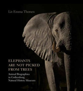 Elephants Are Not Picked from Trees - 2874786769