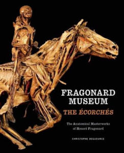 Fragonard Museum: The Ecorches - 2878795250