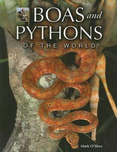 Boas and Pythons of the World - 2871504987