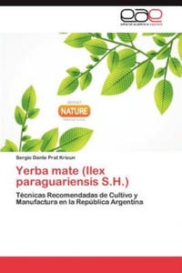 Yerba Mate (Ilex Paraguariensis S.H.) - 2867141046