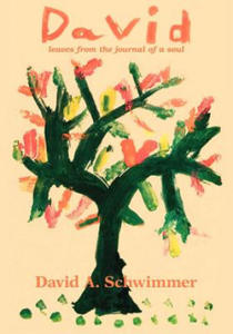 David A. Schwimmer - David - 2876549492