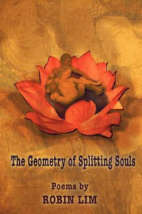 Geometry of Splitting Souls - 2868449566