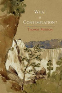 What Is Contemplation? - 2867097887